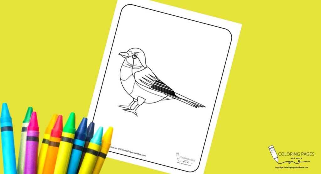 Sparrow bird coloring page