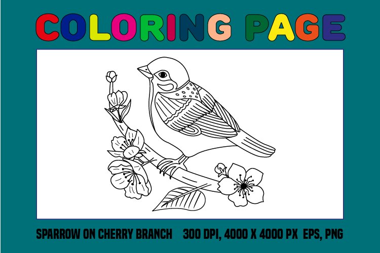 Sparrow on cherry branch coloring page