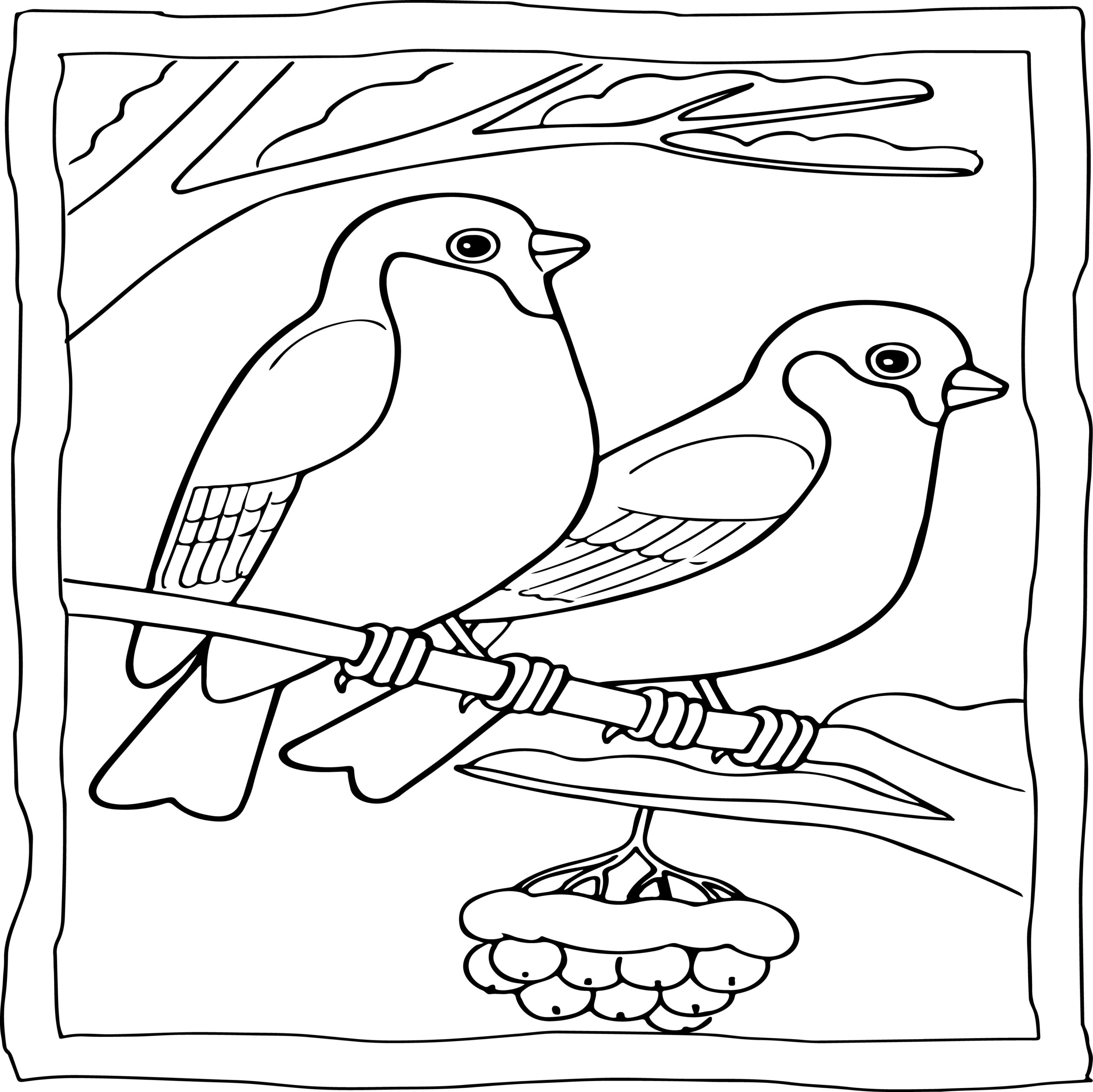 Sparrow coloring book easy and fun sparrows coloring pages for kids made by teachers