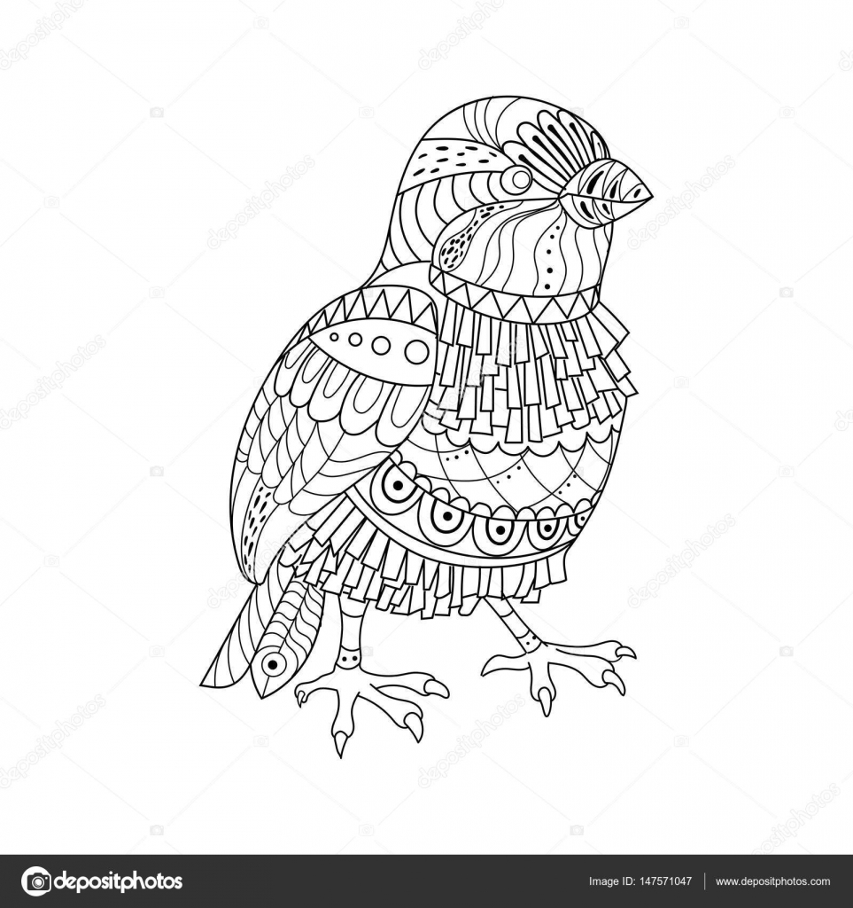 Sparrow coloring book vector illustration stock vector by alexanderpokusay