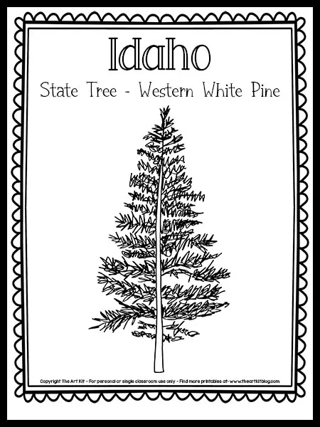 Idaho state tree the western white pine coloring page free printable â the art kit