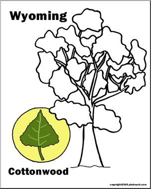 Wyoming state tree