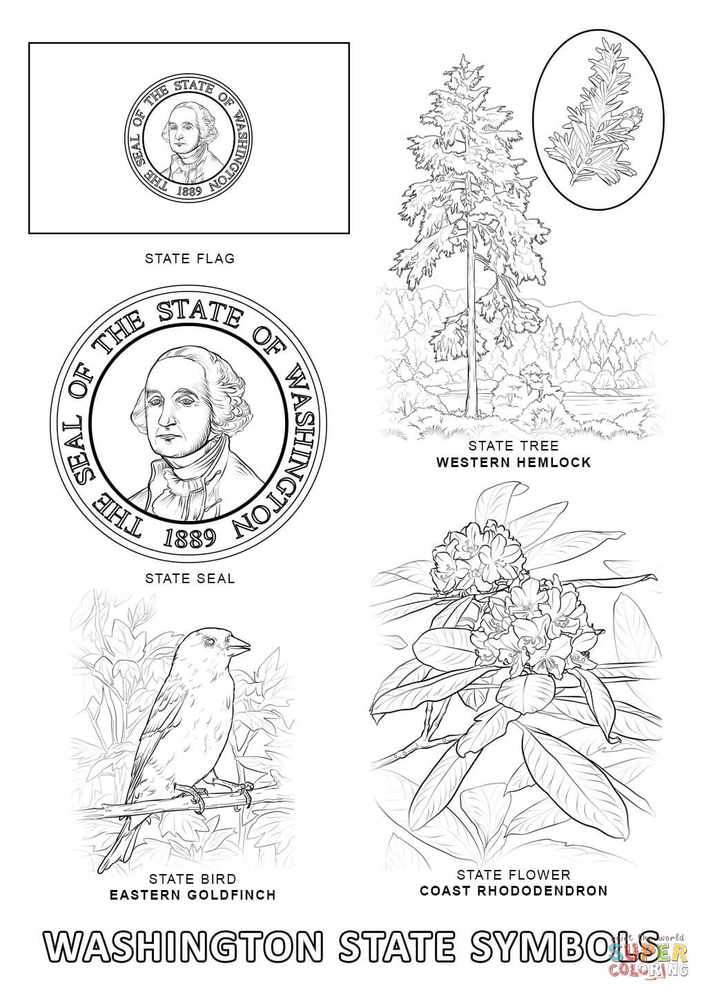 Washington state flower printable