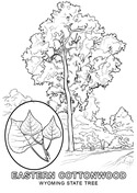 Wyoming coloring pages free coloring pages