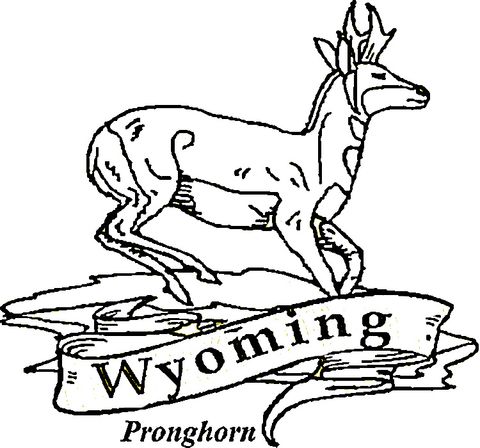 Wyoming coloring page free printable coloring pages flower coloring pages wyoming state coloring pages