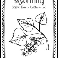 Wyoming â the art kit
