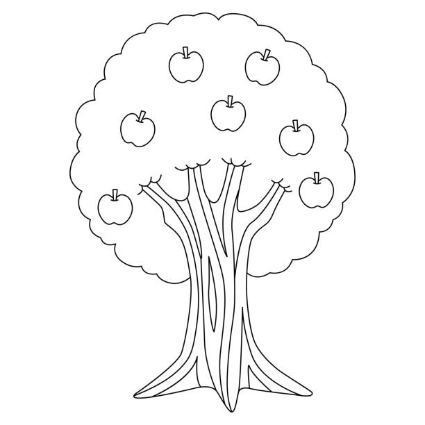 Drawing of apple tree outline stock illustrations royalty