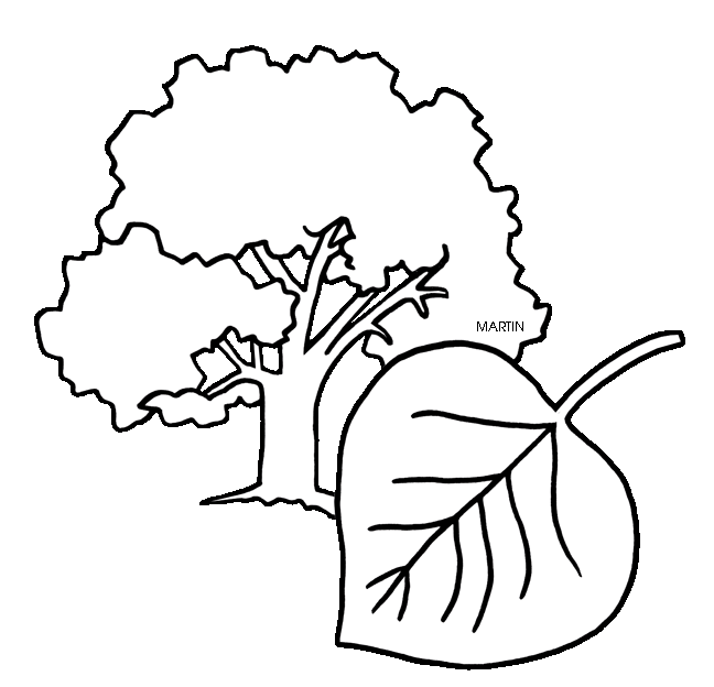 United clip art by phillip martin state tree of wyoming