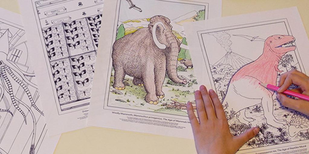 Explore highlights coloring book museum