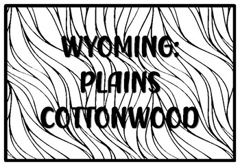 Wyoming plains cottonwood state tree coloring pages by anisha sharma
