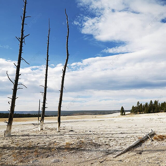 Yellowstone park wyoming yellowstone national park color nature photo background and picture for free download