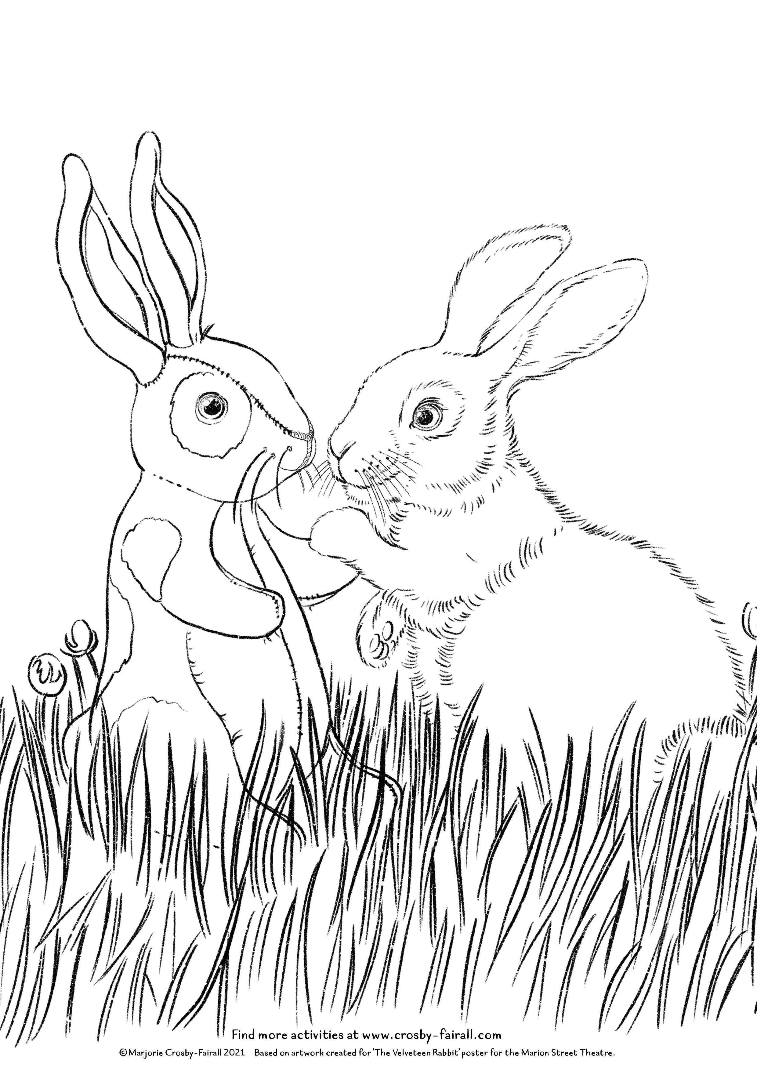 Bunny colouring activity â marjorie crosby