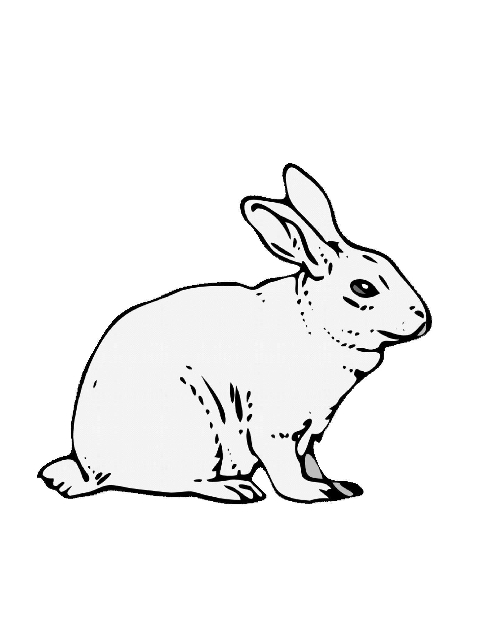 Free printable rabbit coloring pages for kids