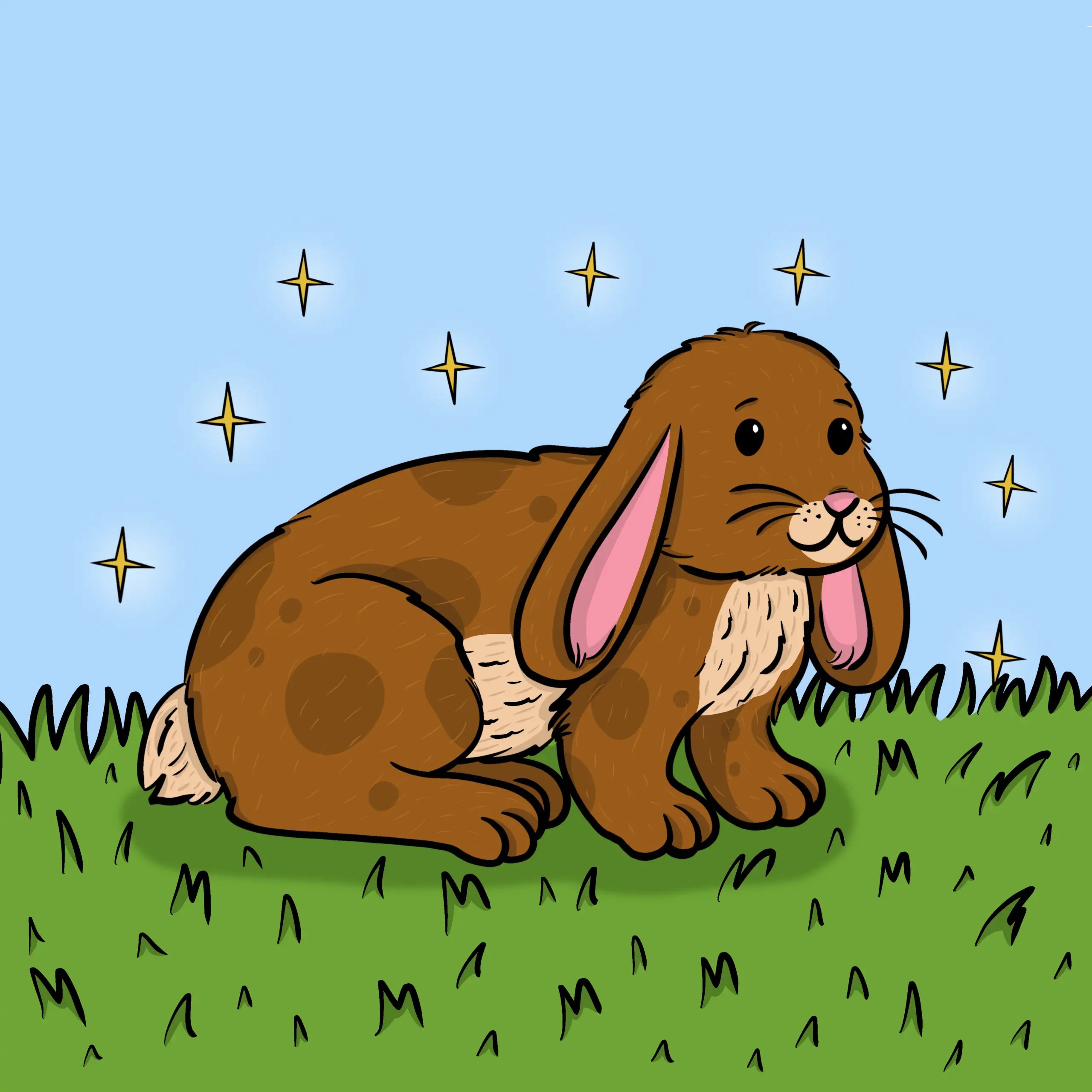 The velveteen rabbit