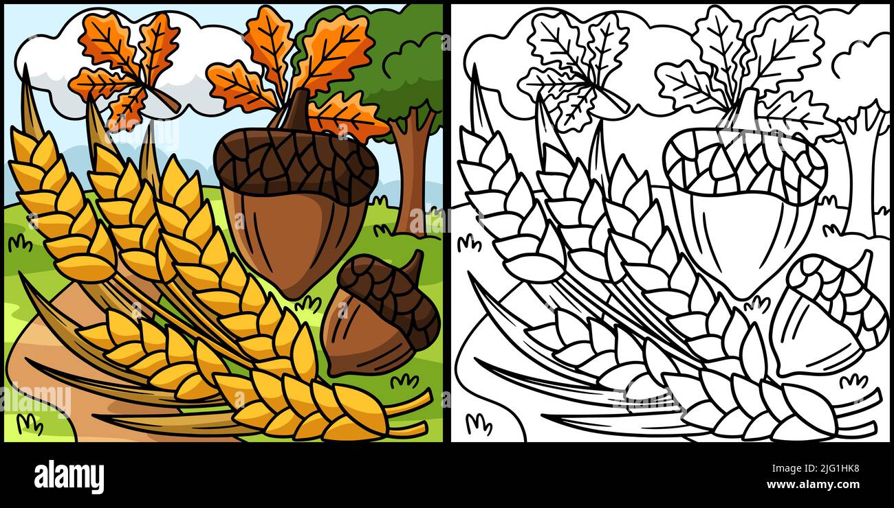 Thanksgiving harvest wheat coloring illustration stock vector image art