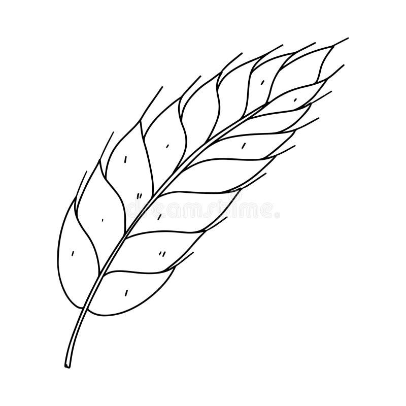 Wheat coloring stock illustrations â wheat coloring stock illustrations vectors clipart