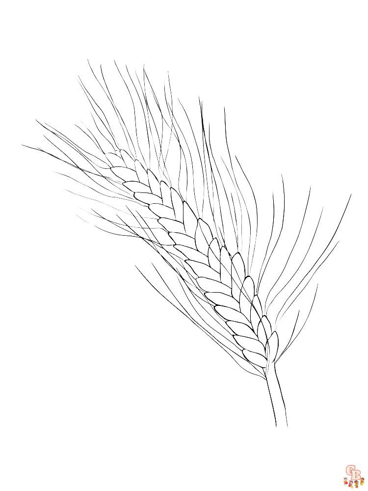 Wheat coloring pages printable and free for kids