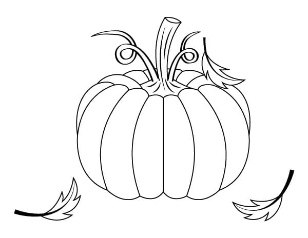 Pumpkins and wheat sheaves coloring page