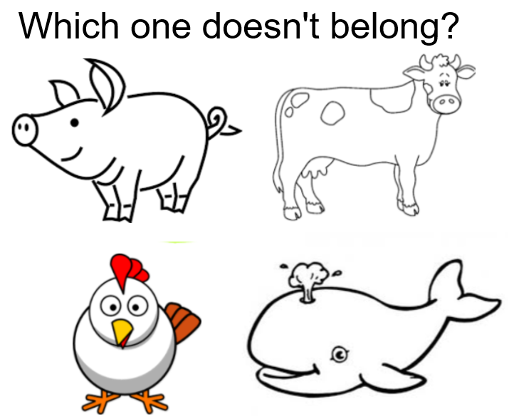 Which one doesnt belong