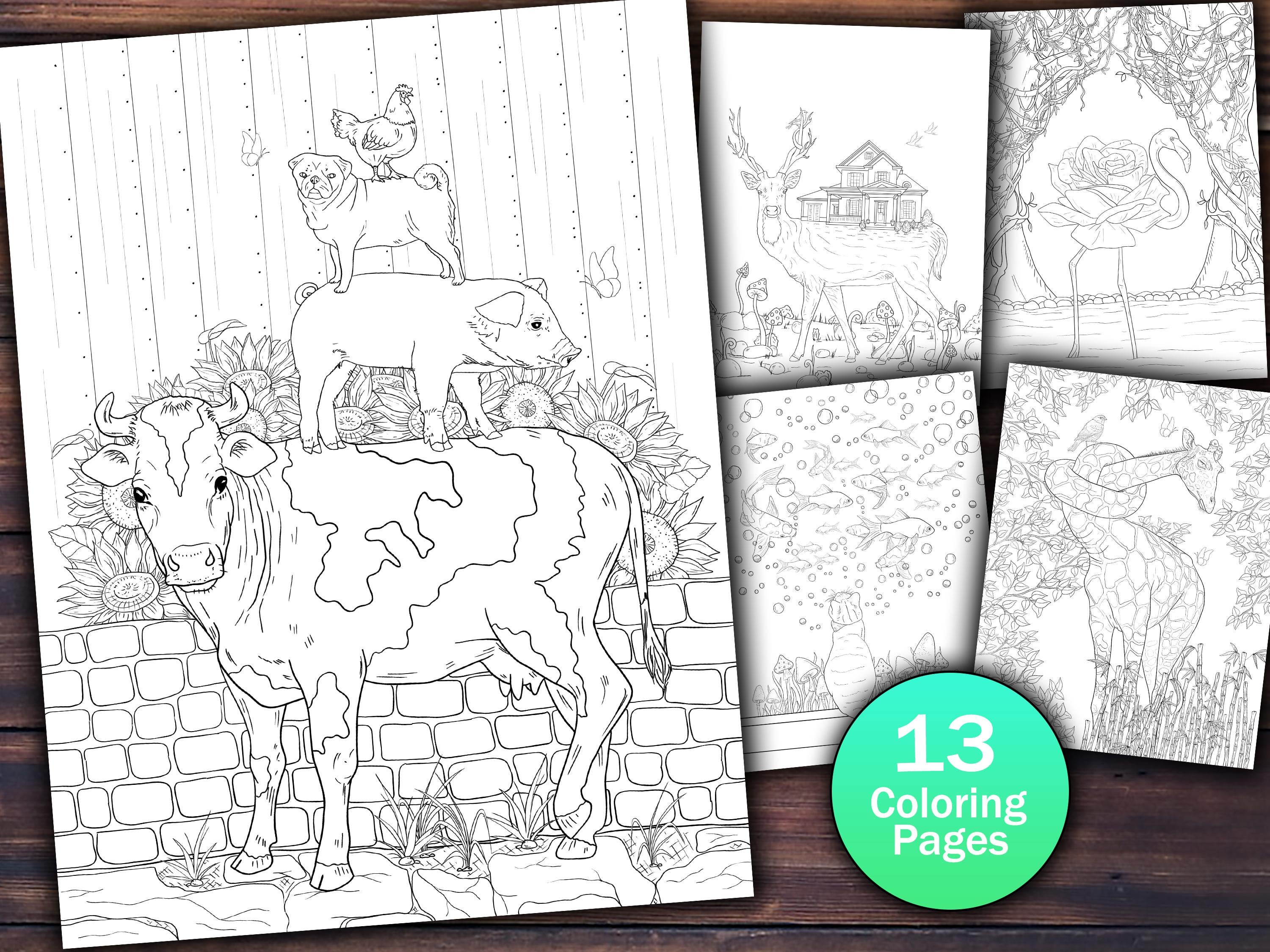 New release hand drawn whimsical coloring pages link in ments rcoloringbookspastime