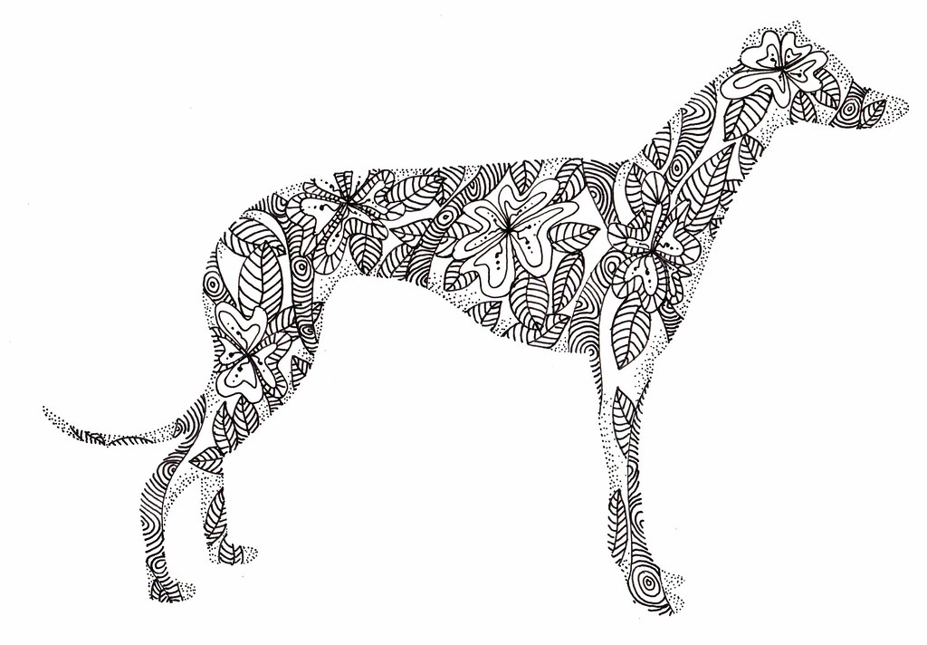 Greyhound doodle greyhound doodle ink on bristol board kelly bevan