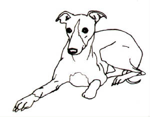 Whippet clipart page and a greyhound