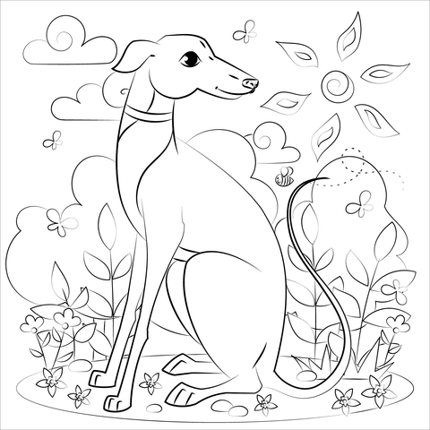 Greyhound coloring page free printable coloring pages
