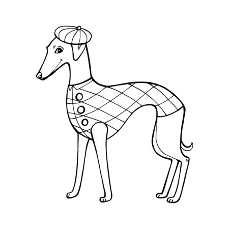 Breed dog