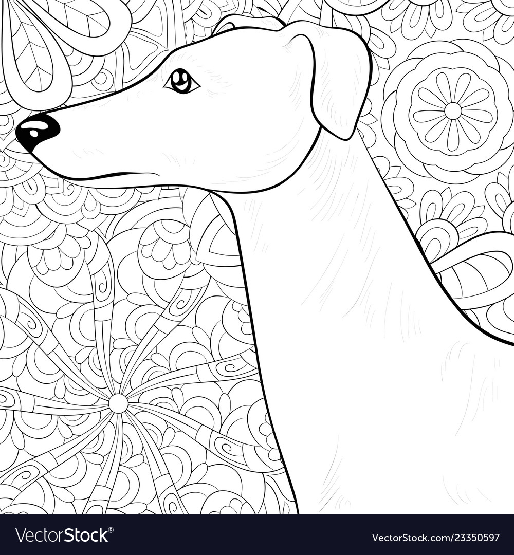 Adult coloring bookpage a cute dog royalty free vector image
