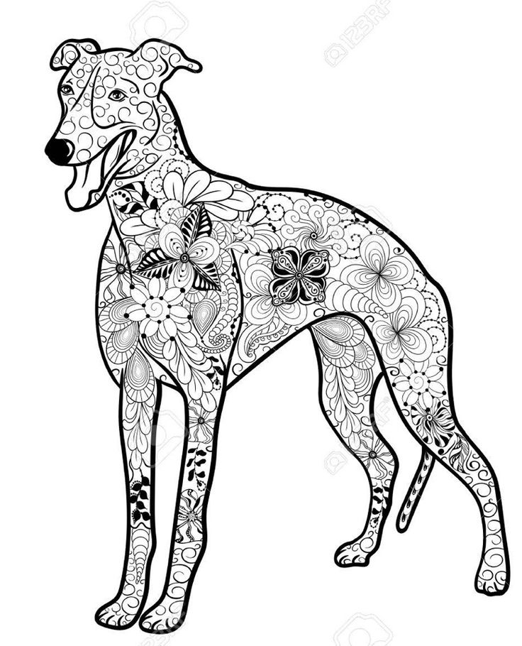 Whippet mandala