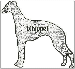 Whippet in words