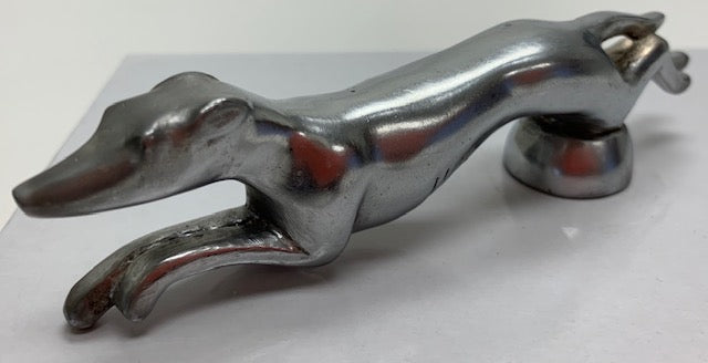 Greyhound whippet dog mascothood ornament m