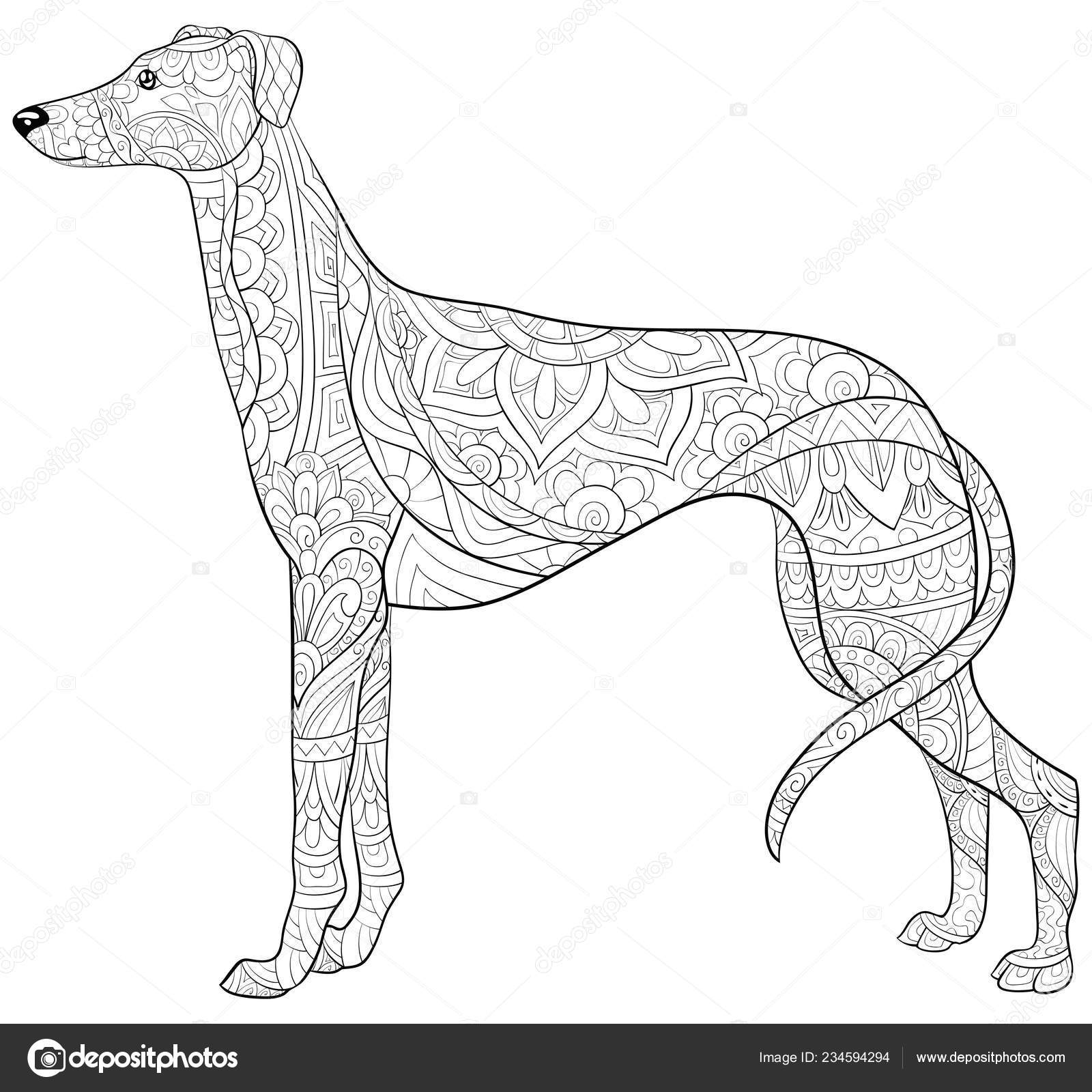 Cute dog ornaments image relaxing activity coloring book page adults stock vector by nonuzza