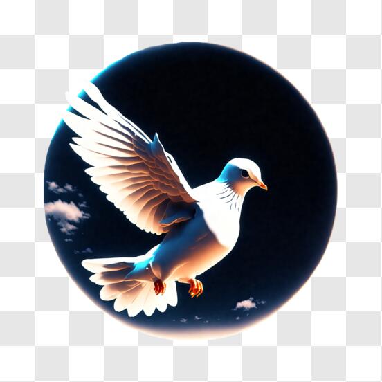 Download beautiful white dove in mid