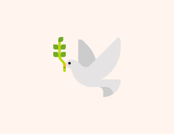 Cartoon of a dove with olive branch stock photos pictures royalty