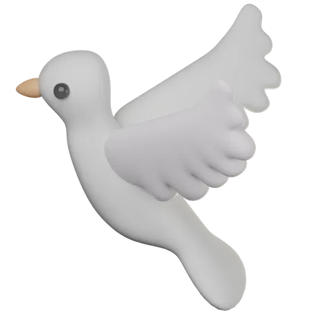 Wedding dove d icon download in png obj or blend format