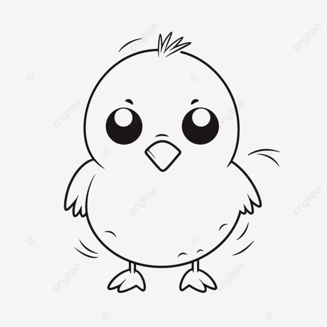 Cute cartoon chicken coloring page vector basic simple cute cartoon chick outline isolated on white background children s coloring page png and vector with transparent background for free download
