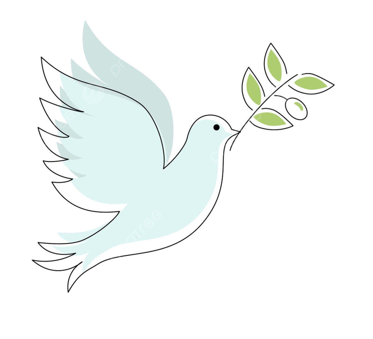 Christmas dove pigeone in festive colors merry christmas and happy new year folk art web banner bird illustration peace dove with branch modern judaism drawing png and vector with transparent background for