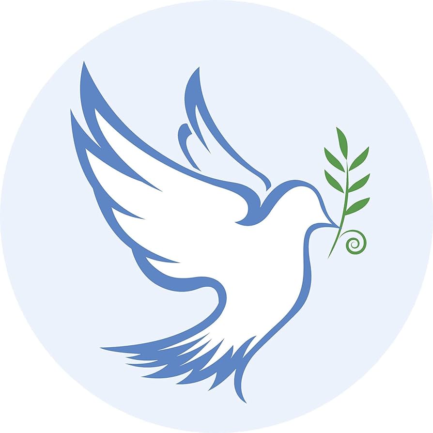 Ew designs pretty flying white peace dove with leaves cartoon icon vinyl decal bumper sticker wide sports outdoors