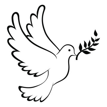 Peace dove images â browse photos vectors and video