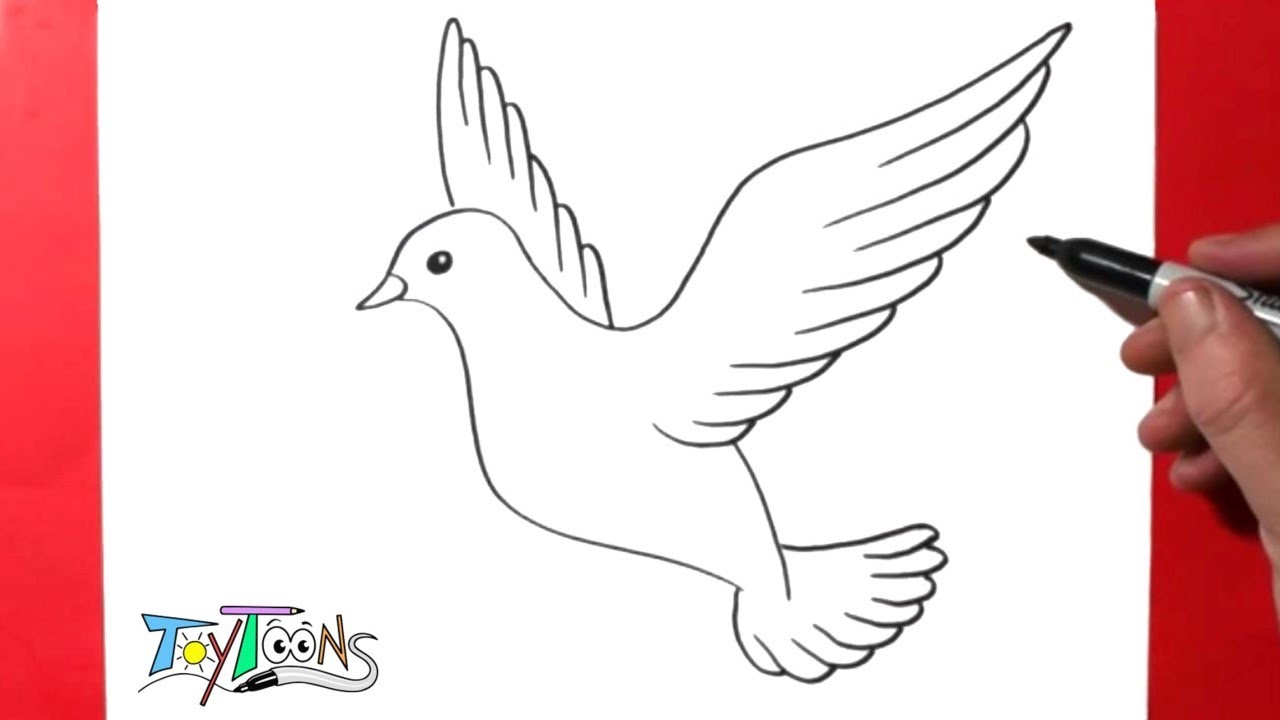 How to draw a dove easy step by step drawing guide tutorial