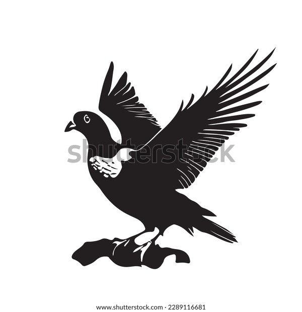 Dove head royalty