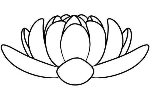 Lotus coloring page free printable coloring pages