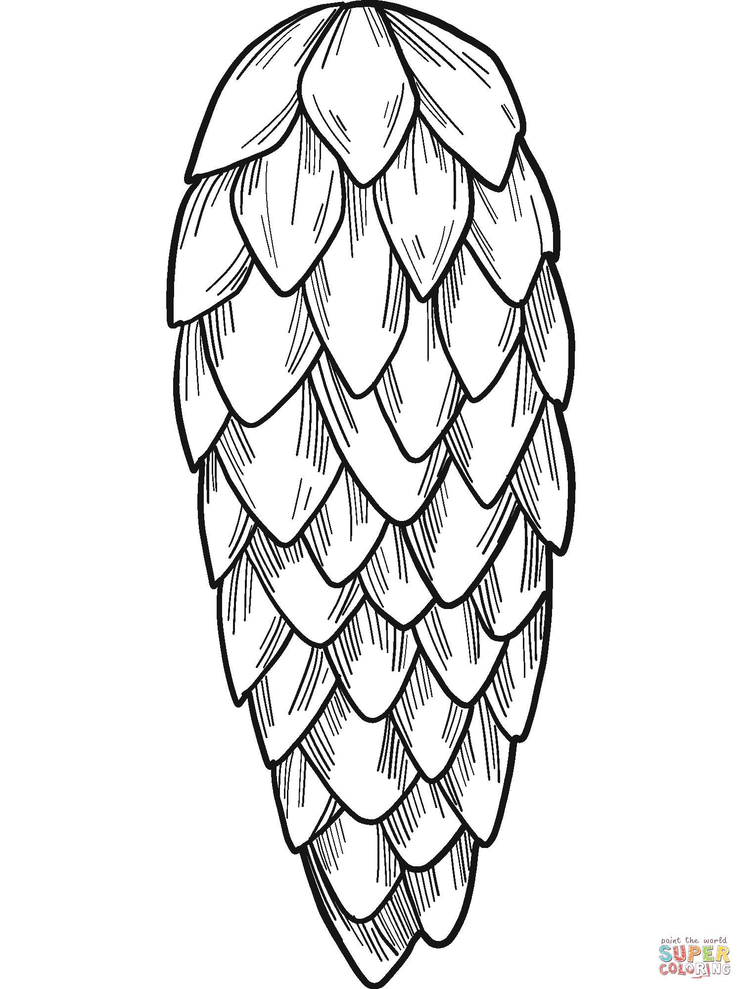 Pine cone coloring page free printable coloring pages