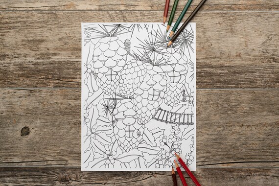 Pinecone fairy garden coloring page pine cone coloring page winter coloring page creative coloring pages instant download coloring pages