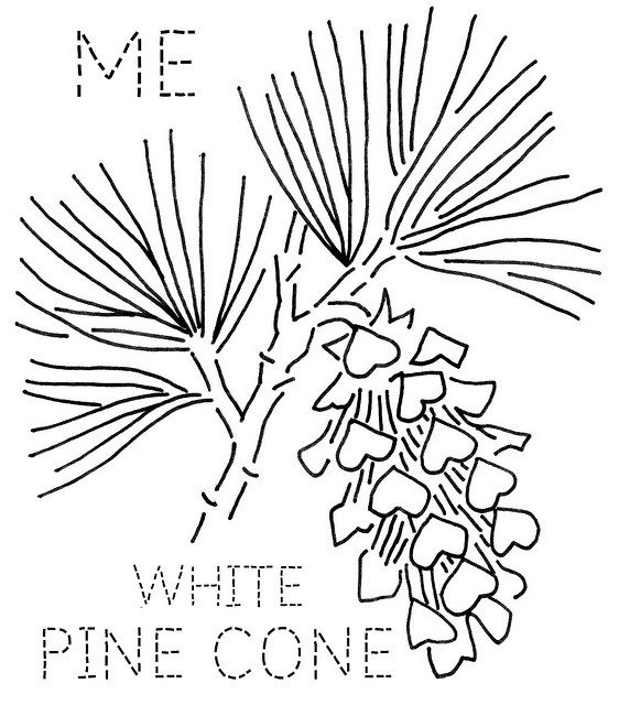 Maine