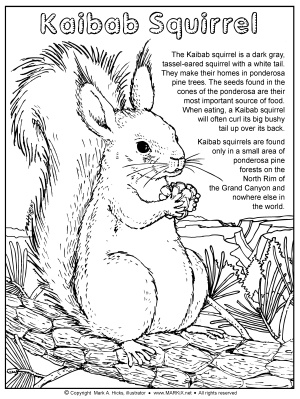 Sonoran desert and colorado plateau coloring pages