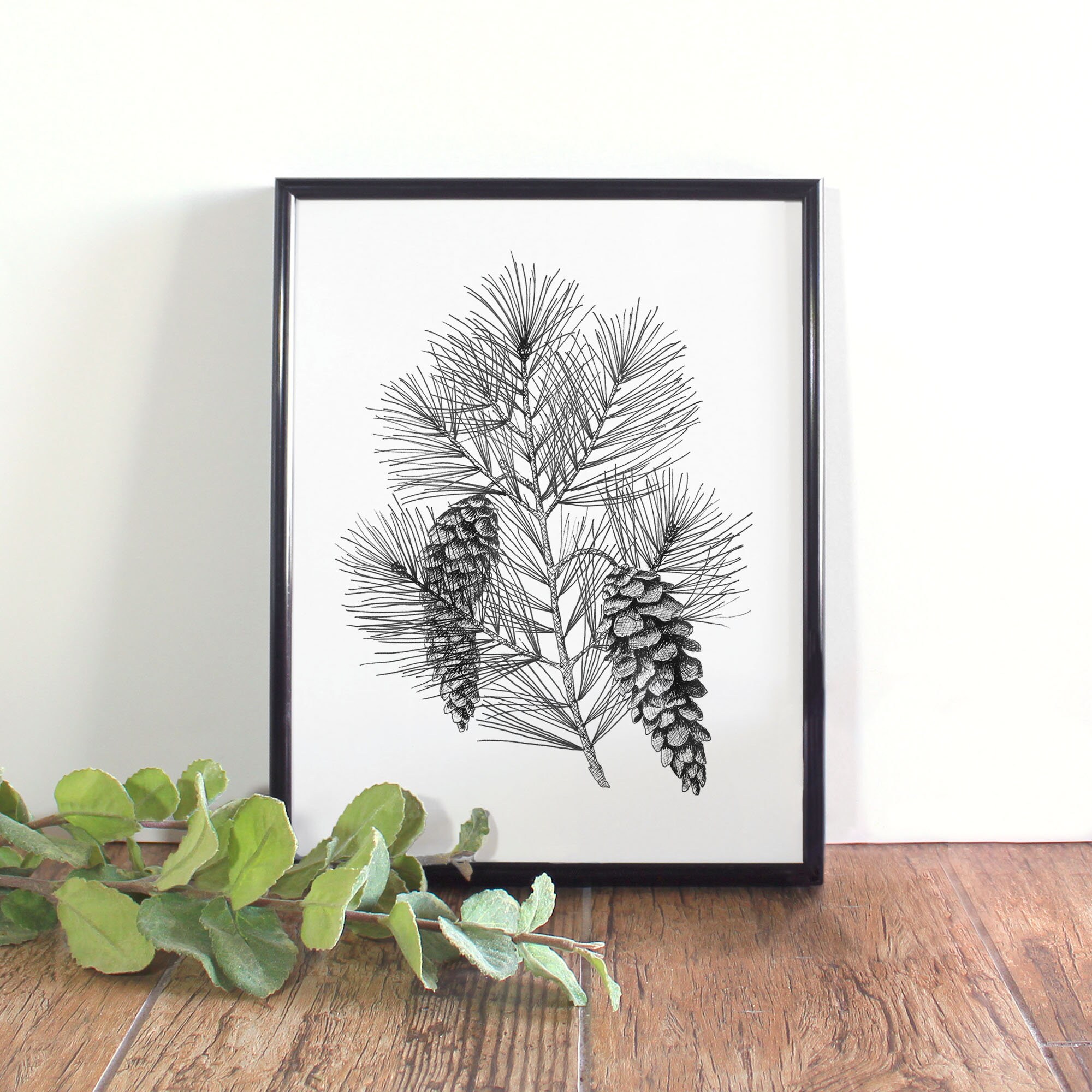 White pine cone tassel botanical illustration botanical wall art black and white pine cone printable maine state flower