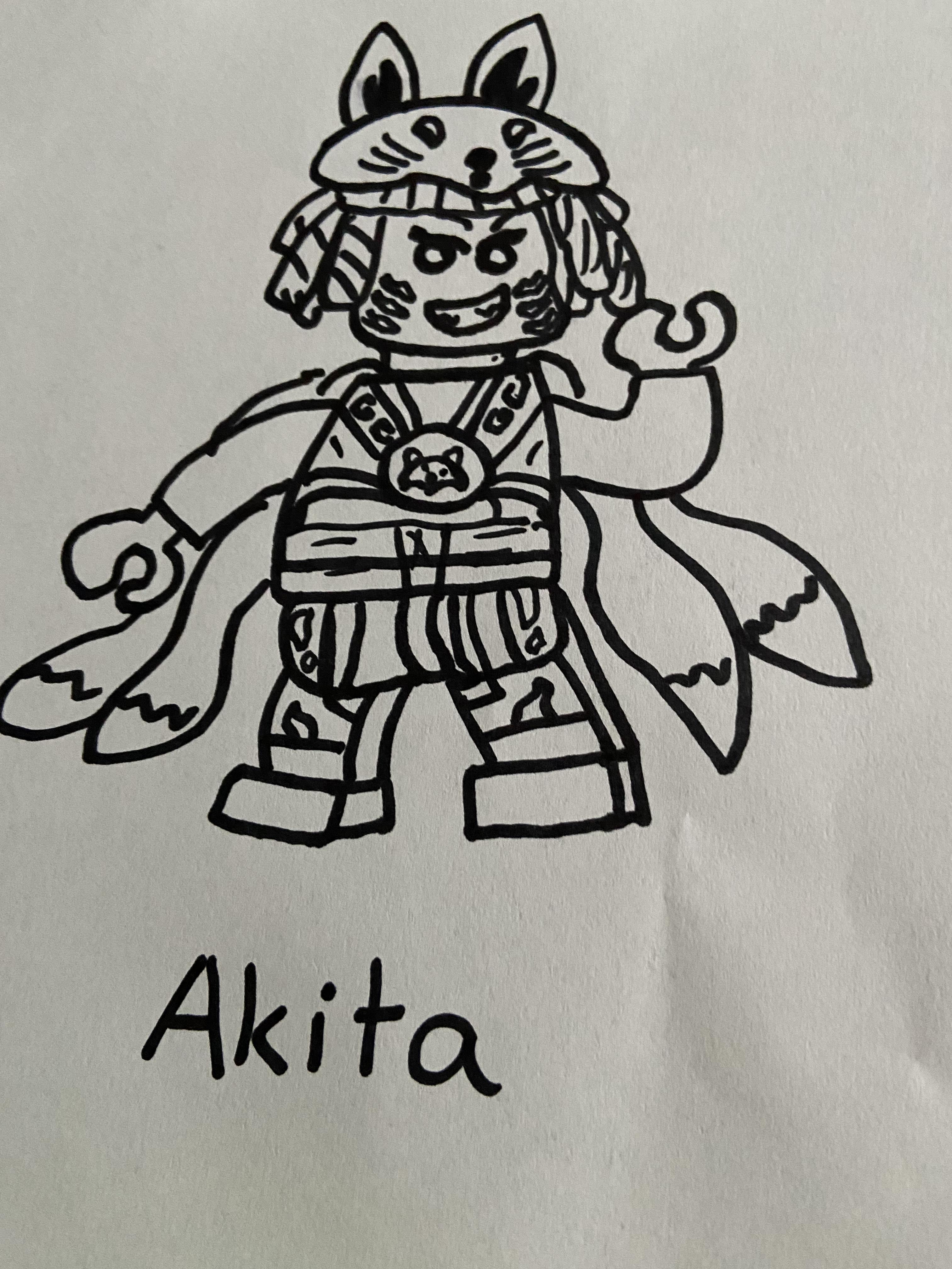 Ninjago daily drawing akita rninjago