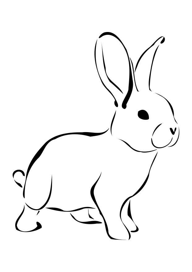 Discover a world of color with our extensive coloring pages collection